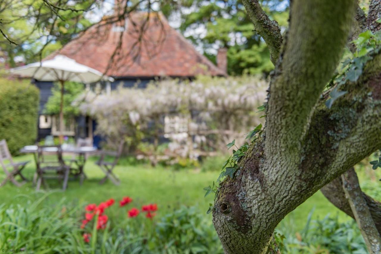 Walnut Tree Cottage By Bloom Stays Faversham Eksteriør billede
