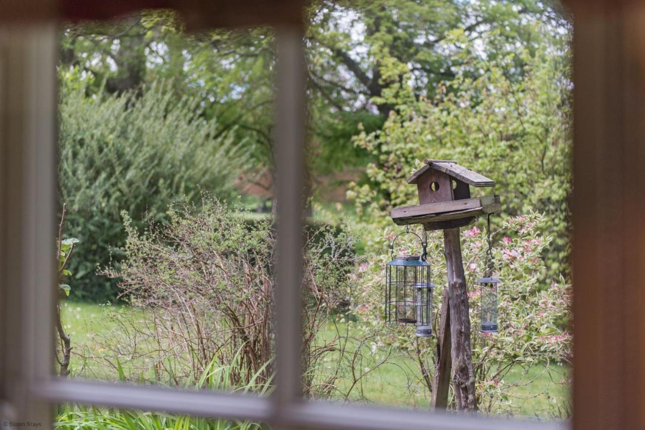 Walnut Tree Cottage By Bloom Stays Faversham Eksteriør billede