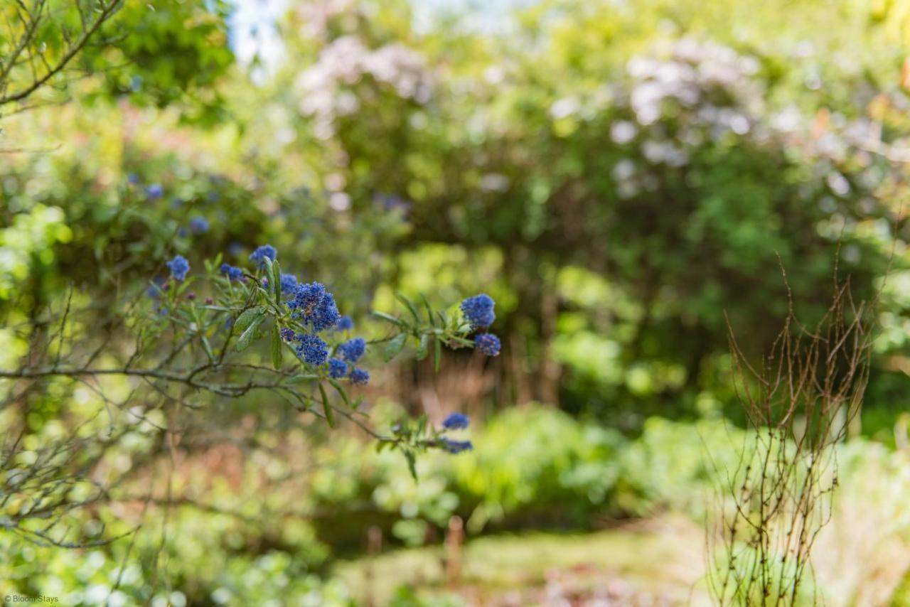 Walnut Tree Cottage By Bloom Stays Faversham Eksteriør billede